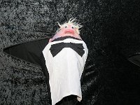 IMG 1310