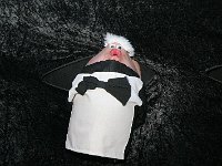 IMG 1311