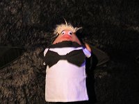 IMG 1312