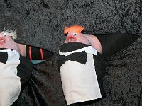 IMG 1313