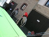 IMG 0133