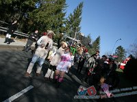 IMG 9728