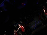 IMG 6917