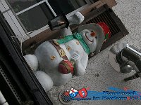IMG 1161