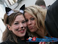 IMG 1182