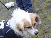 IMG 3123