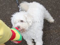 IMG 3194