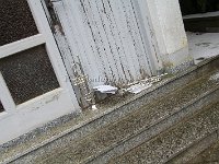 IMG 3201