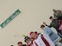 IMG 2942