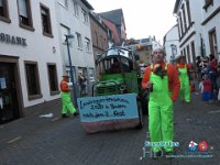 IMG 6479