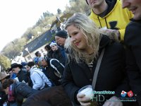 IMG 6533