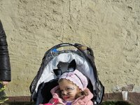 IMG 6684
