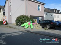 IMG 6686