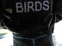 IMG 7243