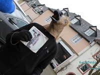 IMG 7502