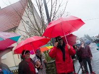 IMG 8181