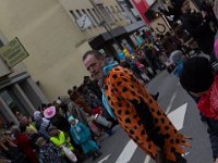 IMG 3309