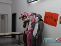 IMG 0999
