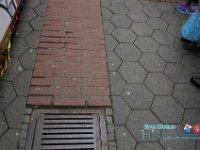 IMG 9242