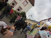 IMG 9461