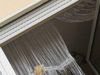 IMG 9473