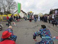 IMG 9537