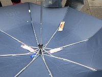 IMG 0790