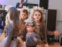 IMG 5690